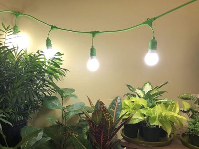 How To Use a Miracle Led Grow Light