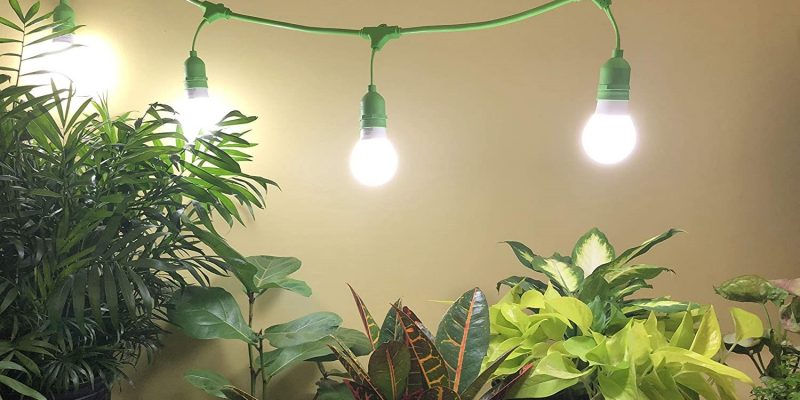 How To Use a Miracle Led Grow Light