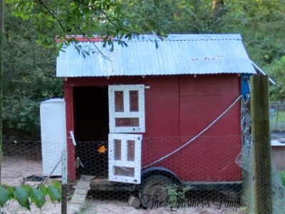 How to Build a Chicken Coop Door with Wire