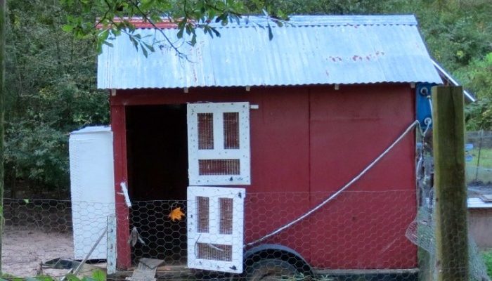 How to Build a Chicken Coop Door with Wire