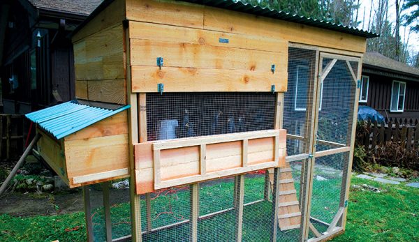 Inexpensive Ways to Build a Chicken Coop