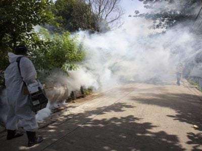 Is Mosquito Fogging Dangerous