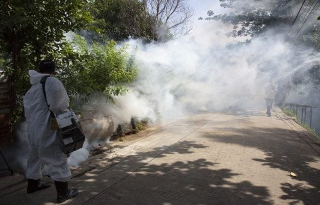 Is Mosquito Fogging Dangerous