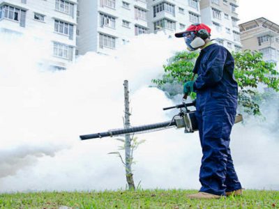 Is Mosquito Fogging Effective