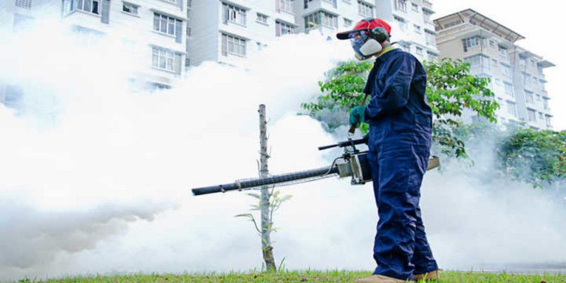 Is Mosquito Fogging Effective