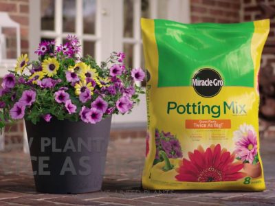 Miracle Grow Potting Soil