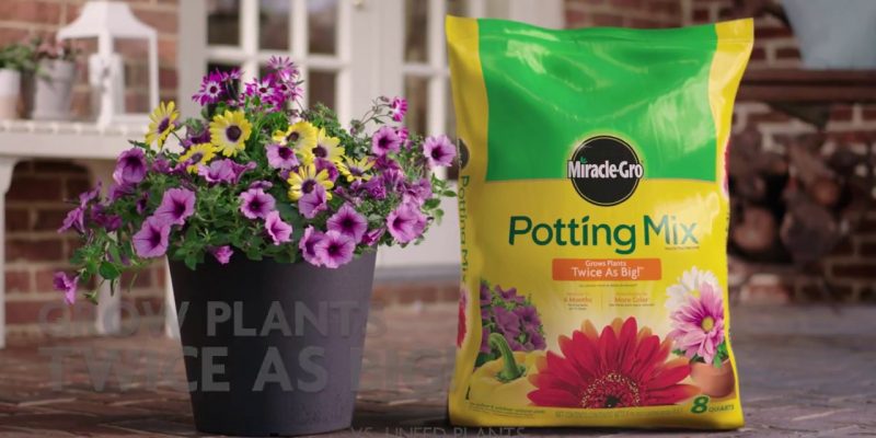 Miracle Grow Potting Soil