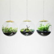 Stunning Terrarium Pendant