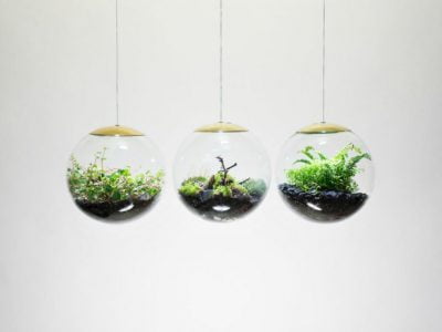 Stunning Terrarium Pendant