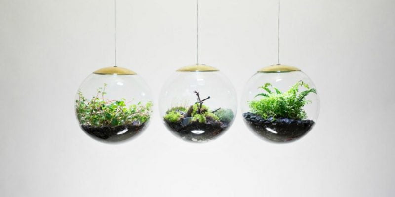 Stunning Terrarium Pendant