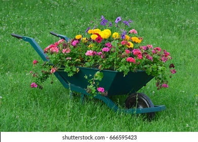 Utilized to Grow Plants & Flowers