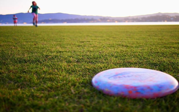 What Do the Numbers on A Frisbee Golf Disc Mean