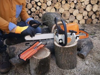 What Size Chainsaw is Good for Tree Cutting