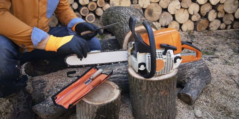 What Size Chainsaw is Good for Tree Cutting