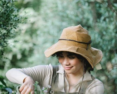 Cheerful ethnic gardener cutting flower in garden