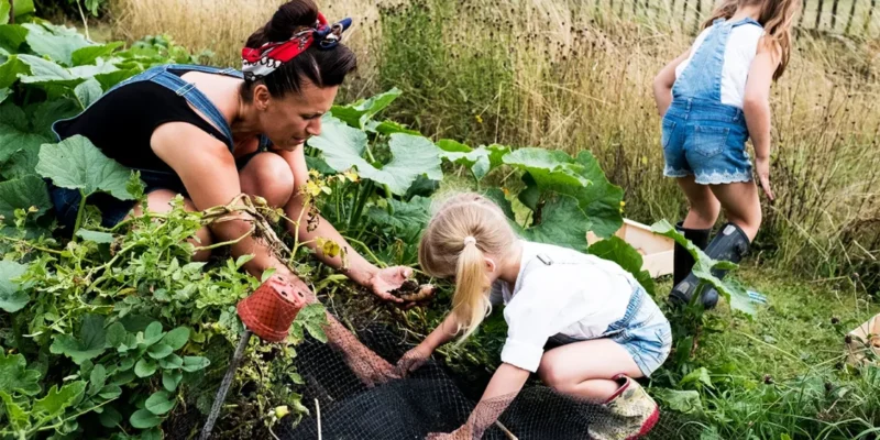 How Gardening Helps Students Keep Their Mental Balance.