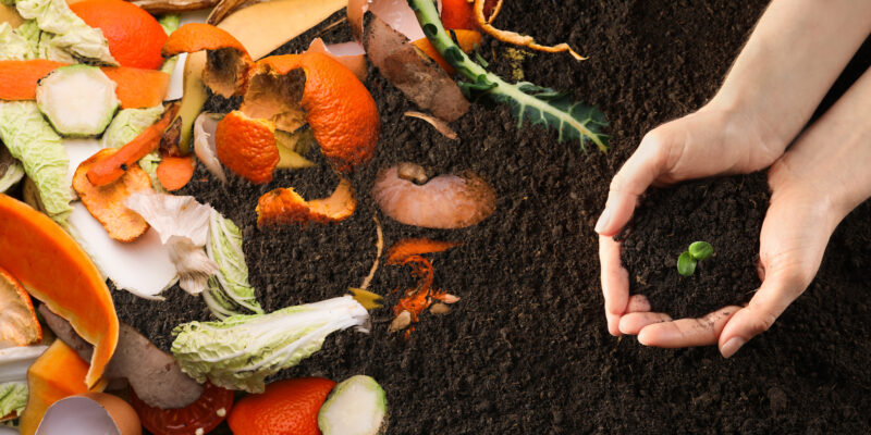 Everything You Need To Know About Compost Tumblers