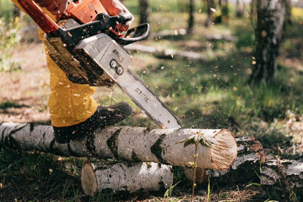 Additional Safety Tips for Chainsaw