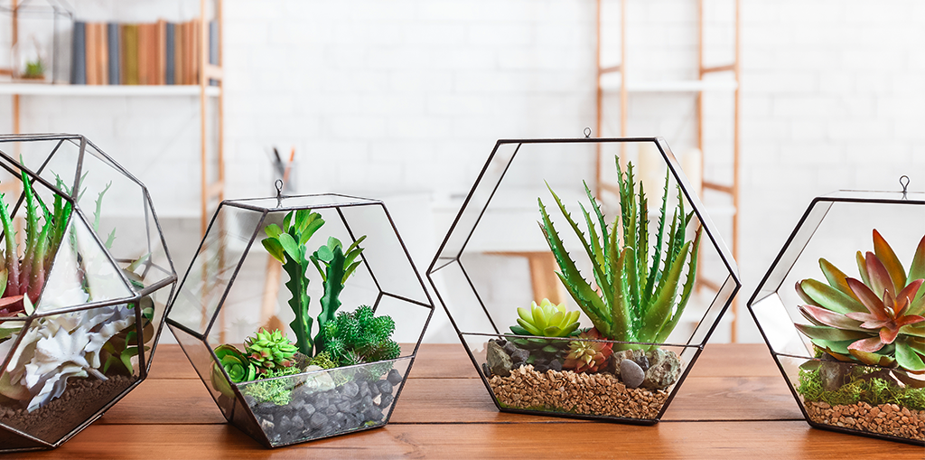 An Introduction to Terrarium