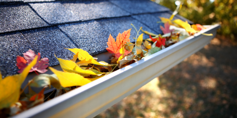 Gutter Guards and Functionality