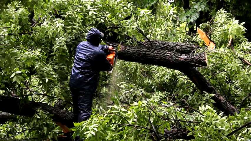 Safety Measurements While Using Chainsaw