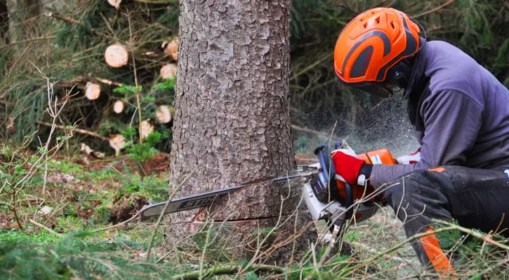 Safety Precautions While Using the Chainsaw .jpg