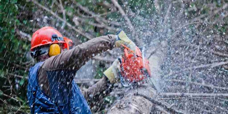 Is it bad to use a chainsaw in the rain?