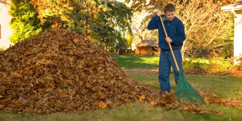 Winter Lawn Care: Preparing Your Yard for the Cold Months