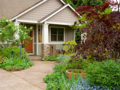 Eco-Friendly Lawn Options: The Benefits of Sustainable Sod Varieties