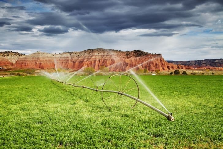 Diverse watering techniques