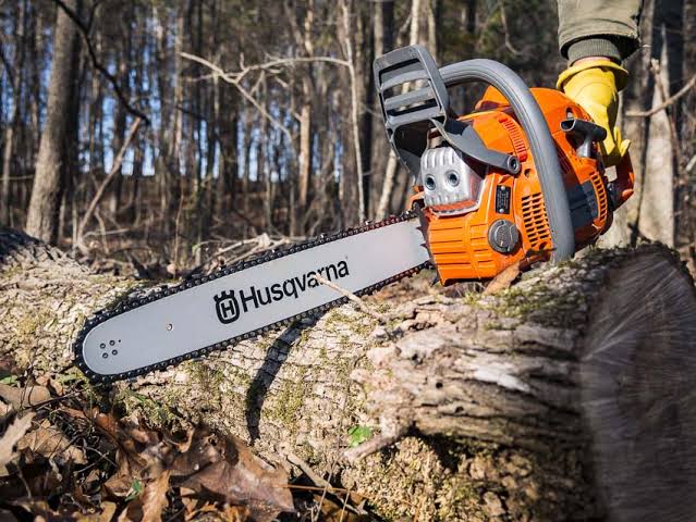 A person operating a chainsaw to fell a tree