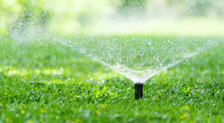 Sprinkler watering green lawn