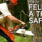 A safe method of tree felling with a chainsaw