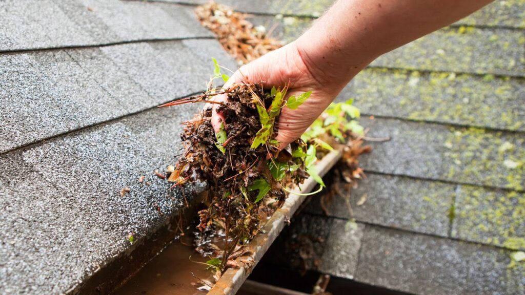 A person cleaning a roof with a leaf on it - showcasing the Leaf Filter: An Introduction.