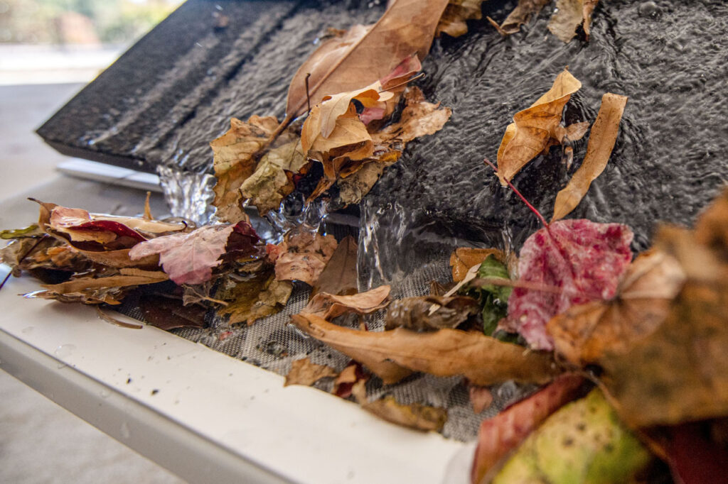 Leaves on house roof. Leaf Filter provides additional benefits