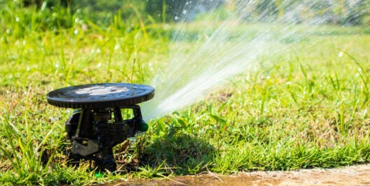 A sprinkler spraying water on grass.