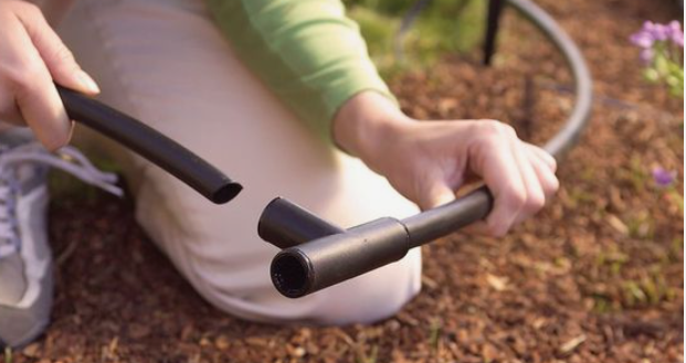 watering plants with a hose. Monitor your Garden.