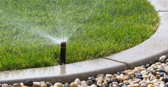 A sprinkler head spraying water on a lush green lawn