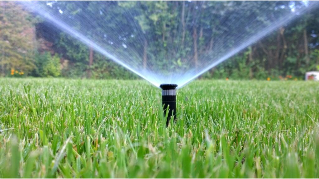 A sprinkler system watering a lush green lawn