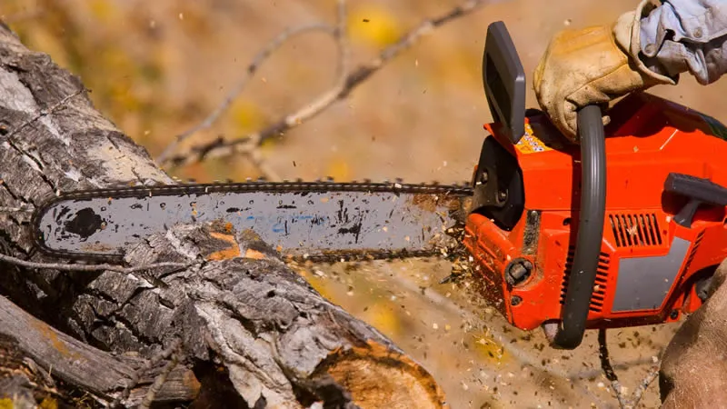 the chainsaw while ensuring the chain has the correct tension.