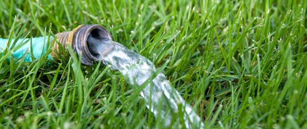 A green hose pouring water onto the grass