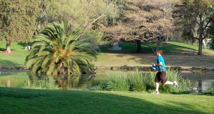 How Many Calories Do You Burn Playing 18 Holes of Disc Golf