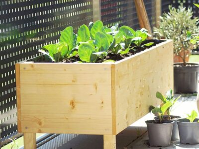 How Wide Should a Planter Box Be