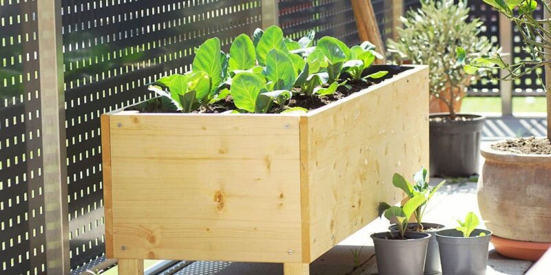 How Wide Should a Planter Box Be