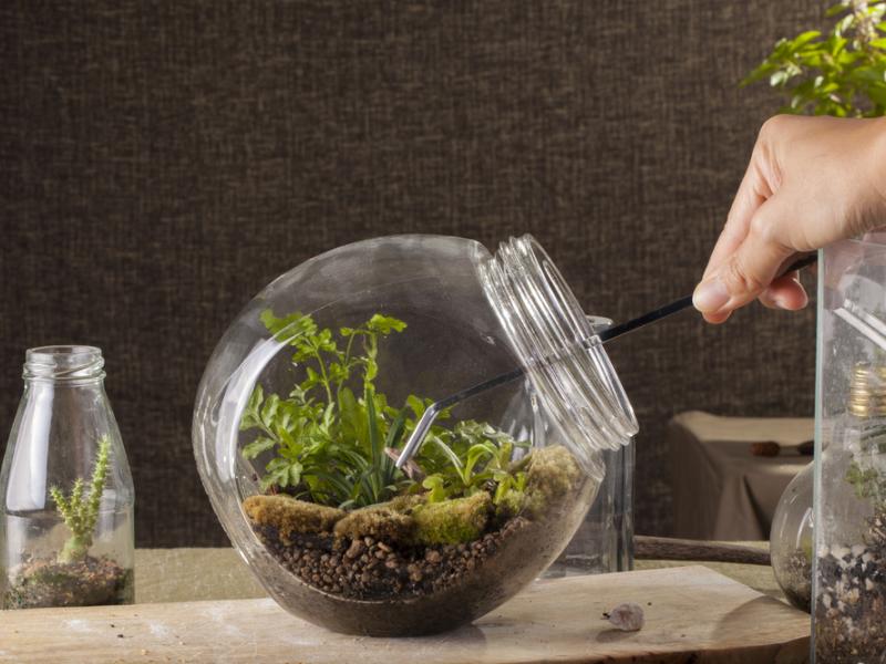 A terrarium with a clean and organized design