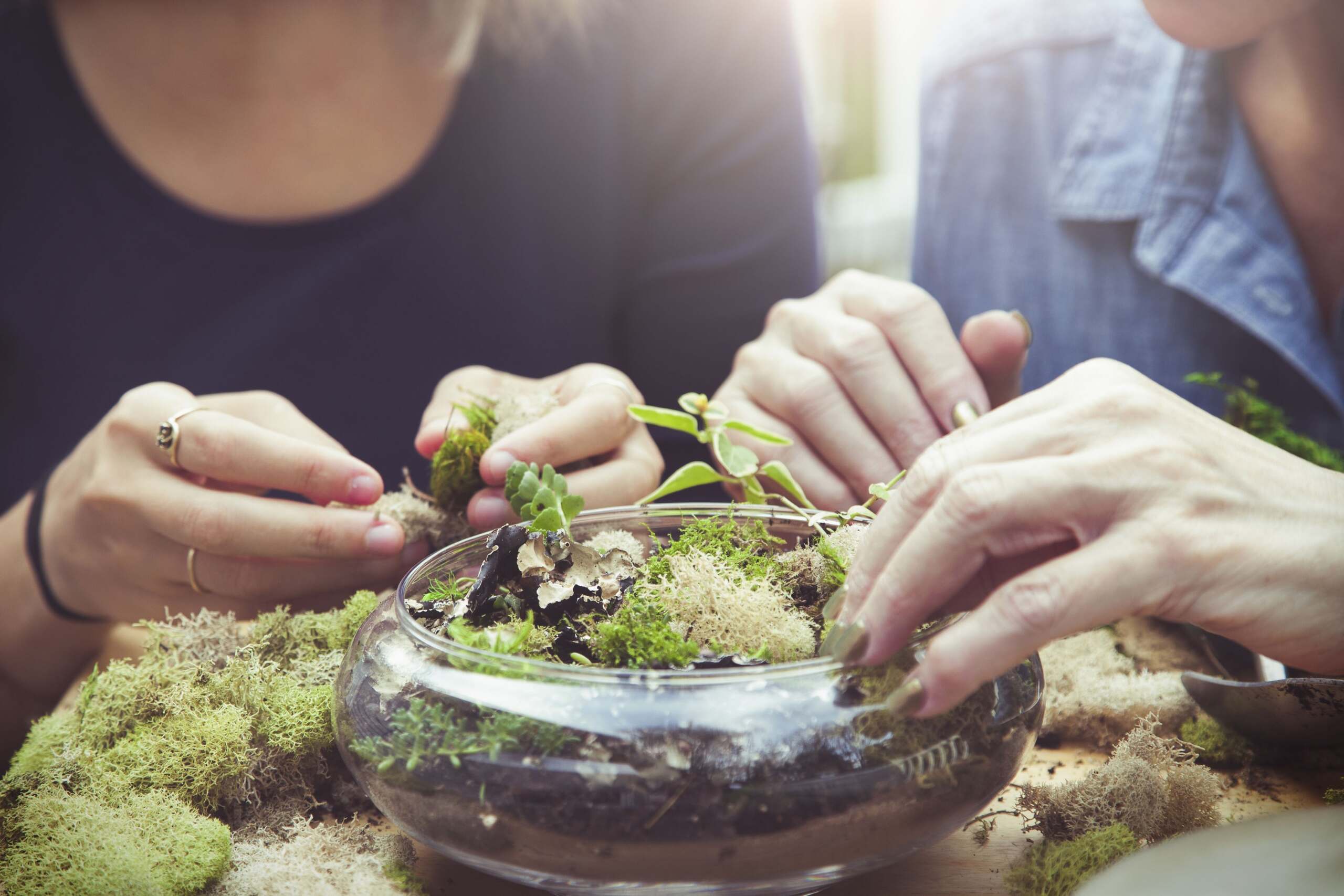 Two women carefully tending to a small plant in a glass bowl