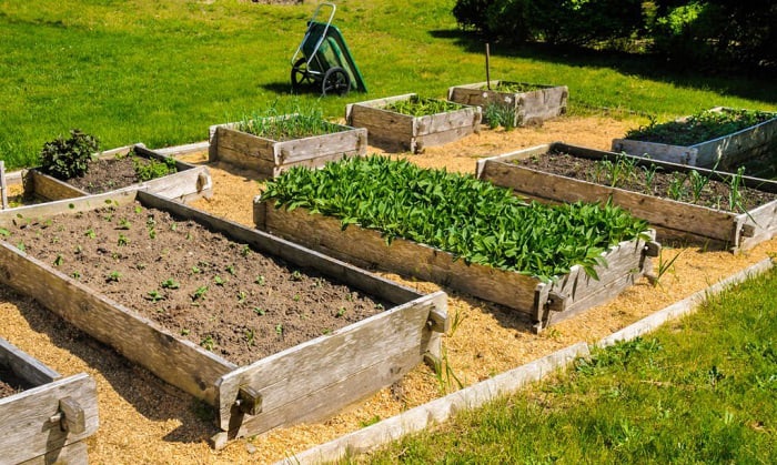 Minimum Width of Raised Garden Beds