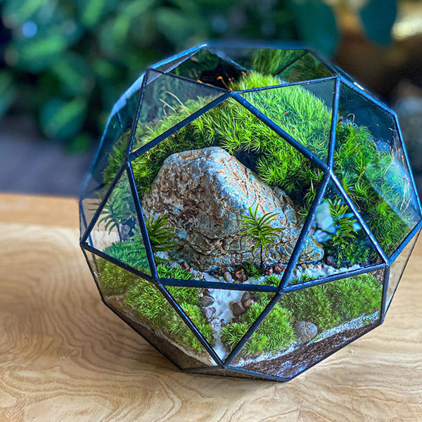 A glass terrarium with moss and rocks on a table.