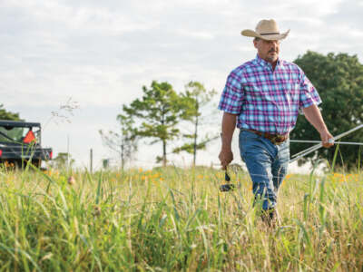 Revolutionizing Boundaries: The Transformative Impact of Electric Fencing in Residential and Agricultural Realms