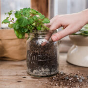 What Do You Put in The Bottom of a Planter without Drainage?